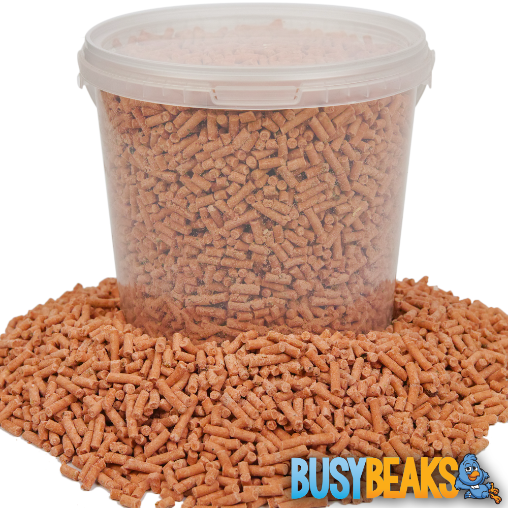 Berry Suet Pellets (Tubs)