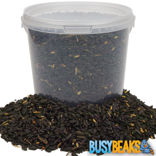 Black Oil Sunflower Seeds (Tubs)
