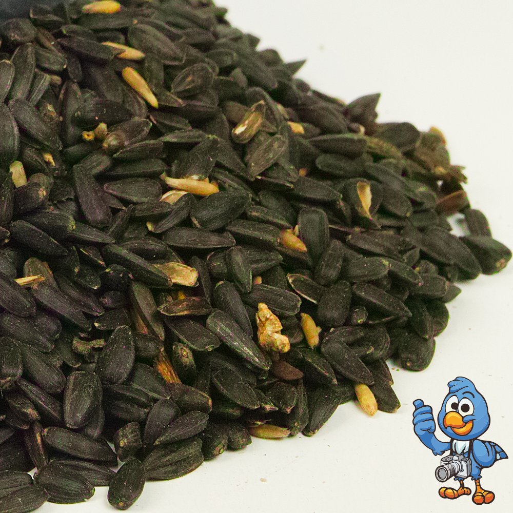 Black Oil Sunflower Seeds (Tubs)
