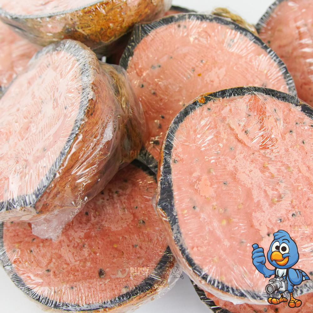 Berry Suet Filled Coconut Halves