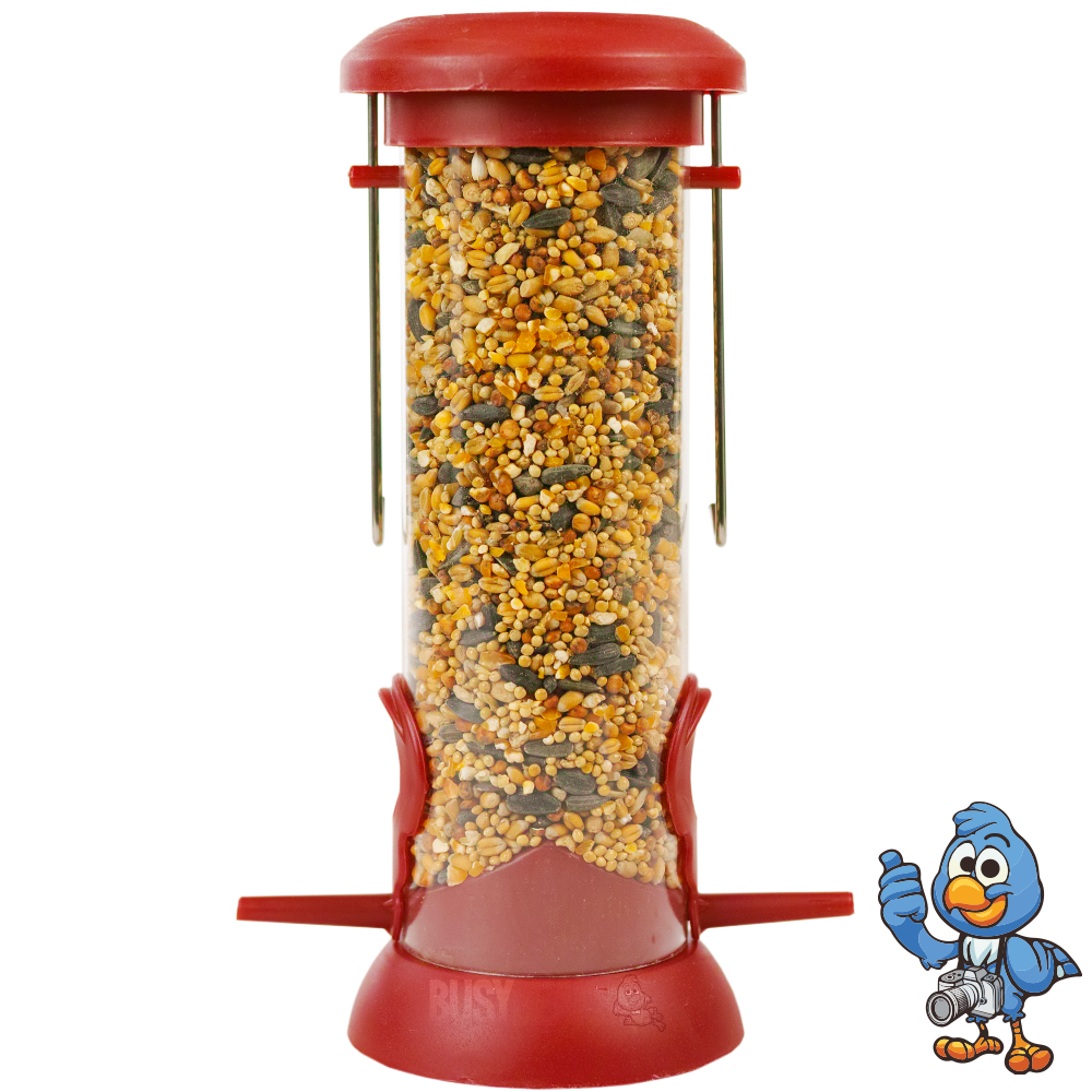 Premium Plastic Seed Feeder - Standard
