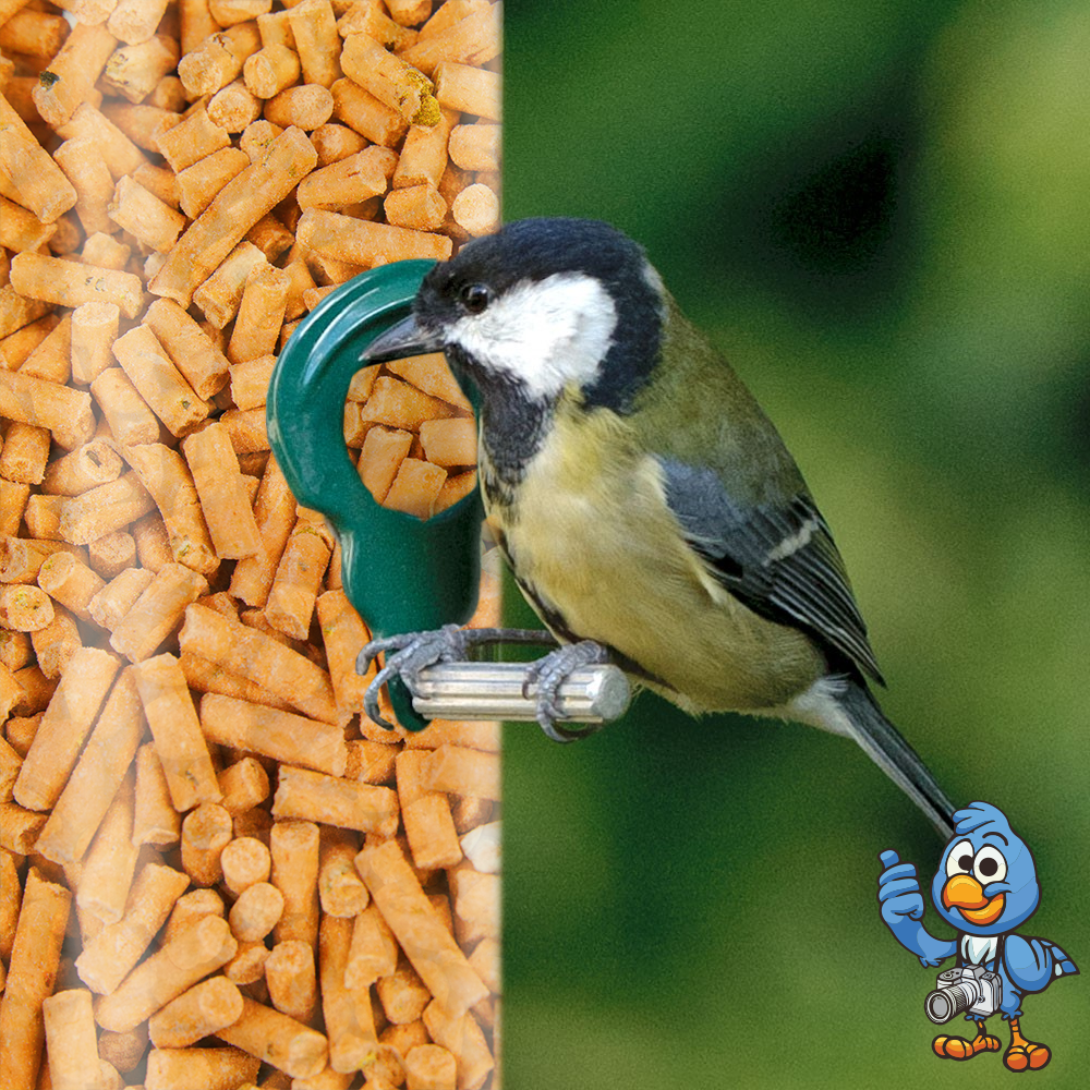 Insect Suet Pellets (Tubs)