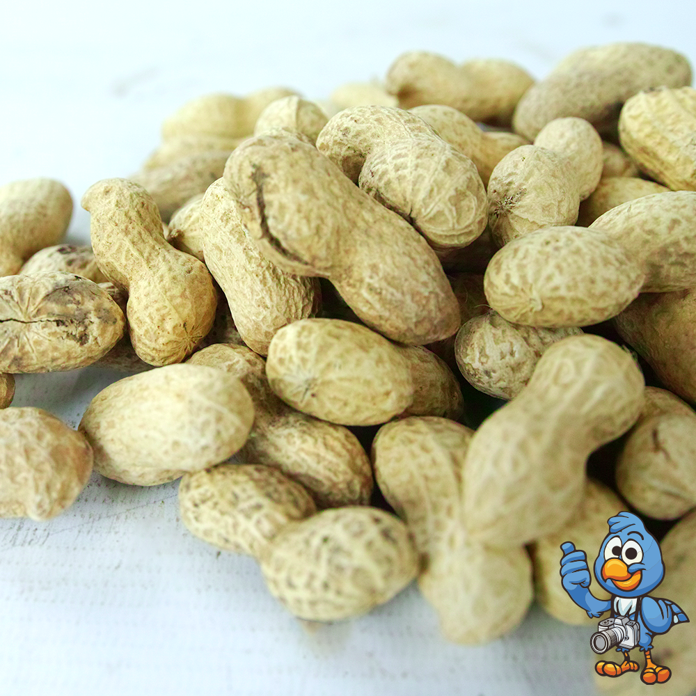 Monkey Nuts (Tubs)
