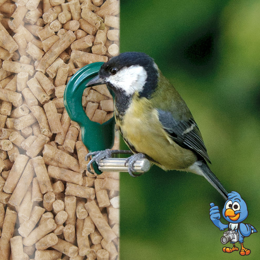 Mealworm Suet Pellets