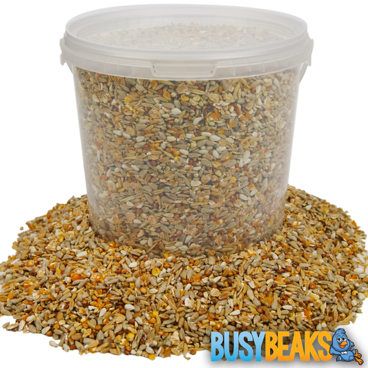 No Mess Seed Mix (Tubs)