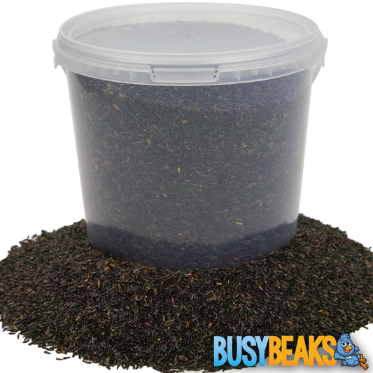 Niger Seeds (Tubs)
