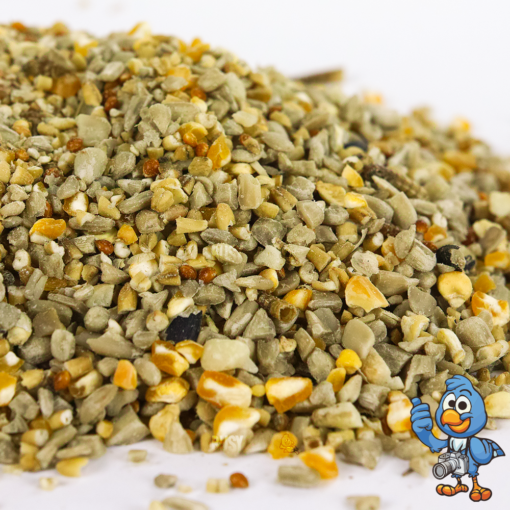 Robin & Songbird Seed