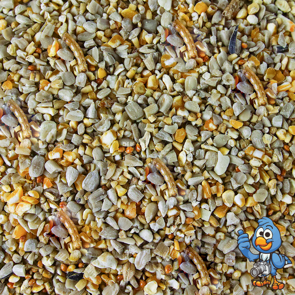 Robin & Songbird Seed
