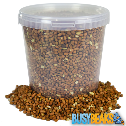 Whole Peanuts (Tubs)