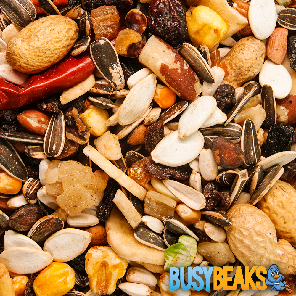 BusyBeaks Parrot Fruit - Premium Bird Feed Food KG