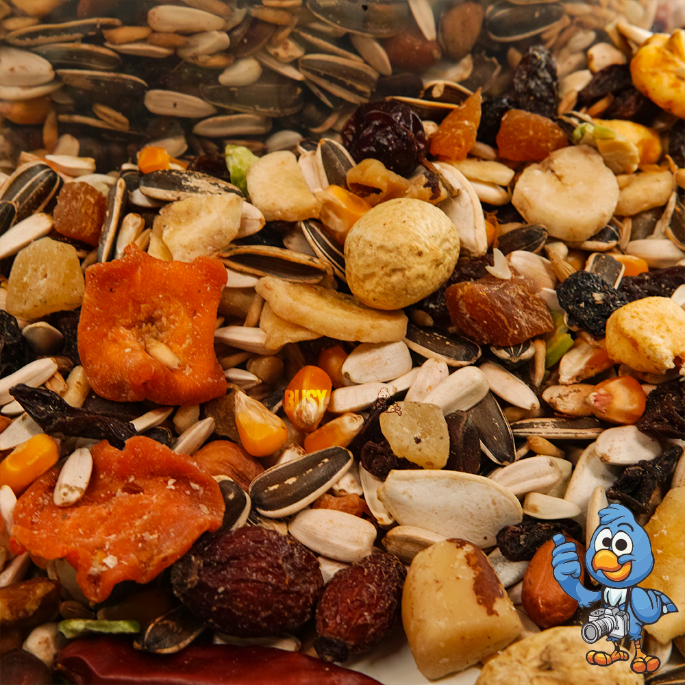 BusyBeaks Parrot Fruit - Premium Bird Feed Food KG