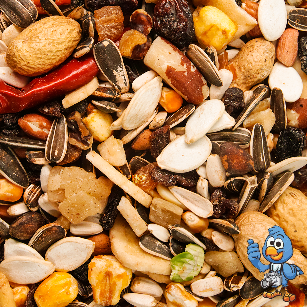 BusyBeaks Parrot Fruit - Premium Garden Bird Food Feed - Tubs