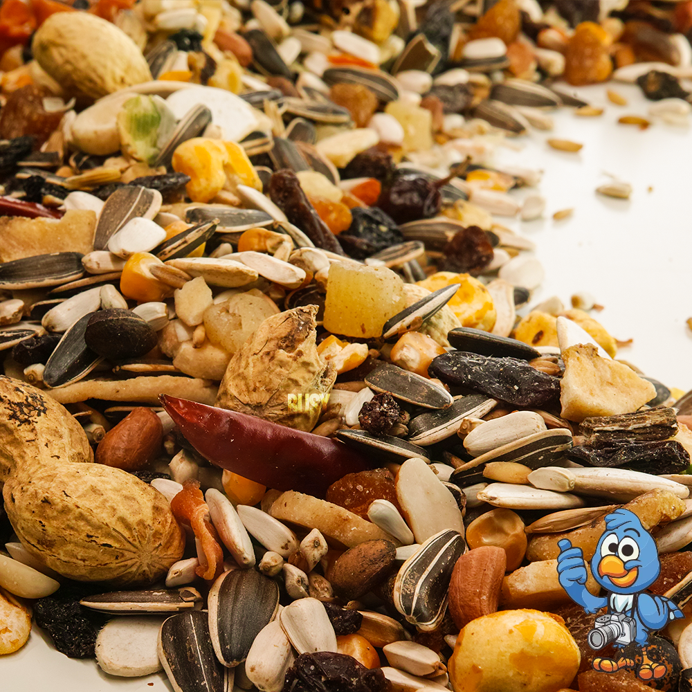 BusyBeaks Parrot Fruit - Premium Garden Bird Food Feed - Tubs