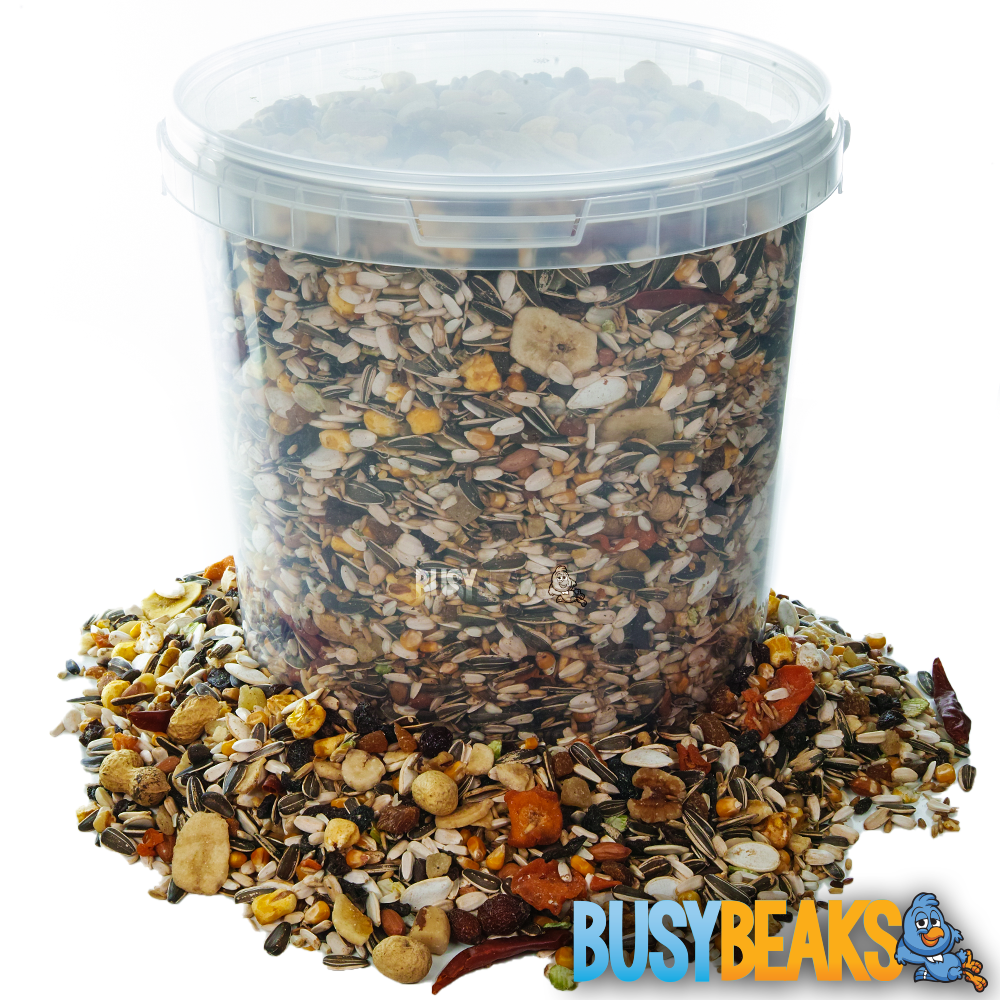 BusyBeaks Parrot Fruit - Premium Garden Bird Food Feed - Tubs