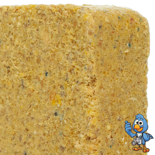 BusyBeaks Worm & Insect Suet Blocks | Premium Bird Food