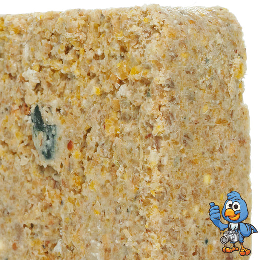 BusyBeaks Mealworm Flavoured Suet Blocks | Premium Bird Food