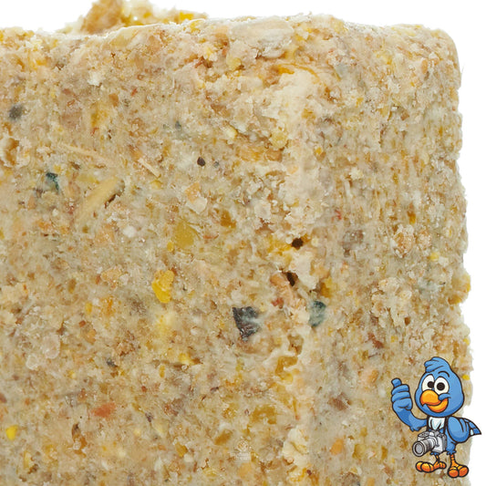 Premium Suet Blocks | Sunflower Hearts | Garden Bird Food