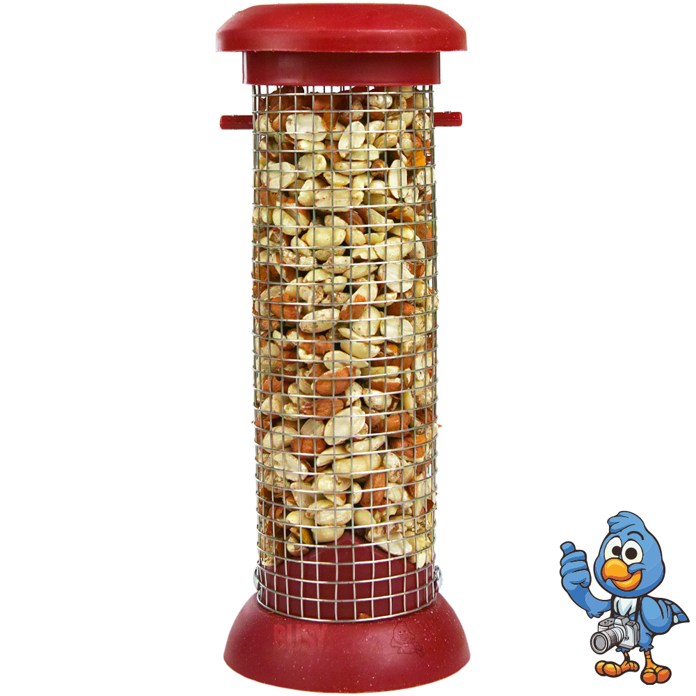 Premium Plastic Peanuts Feeder - Standard