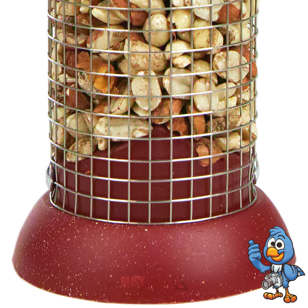 Premium Plastic Peanuts Feeder - Standard