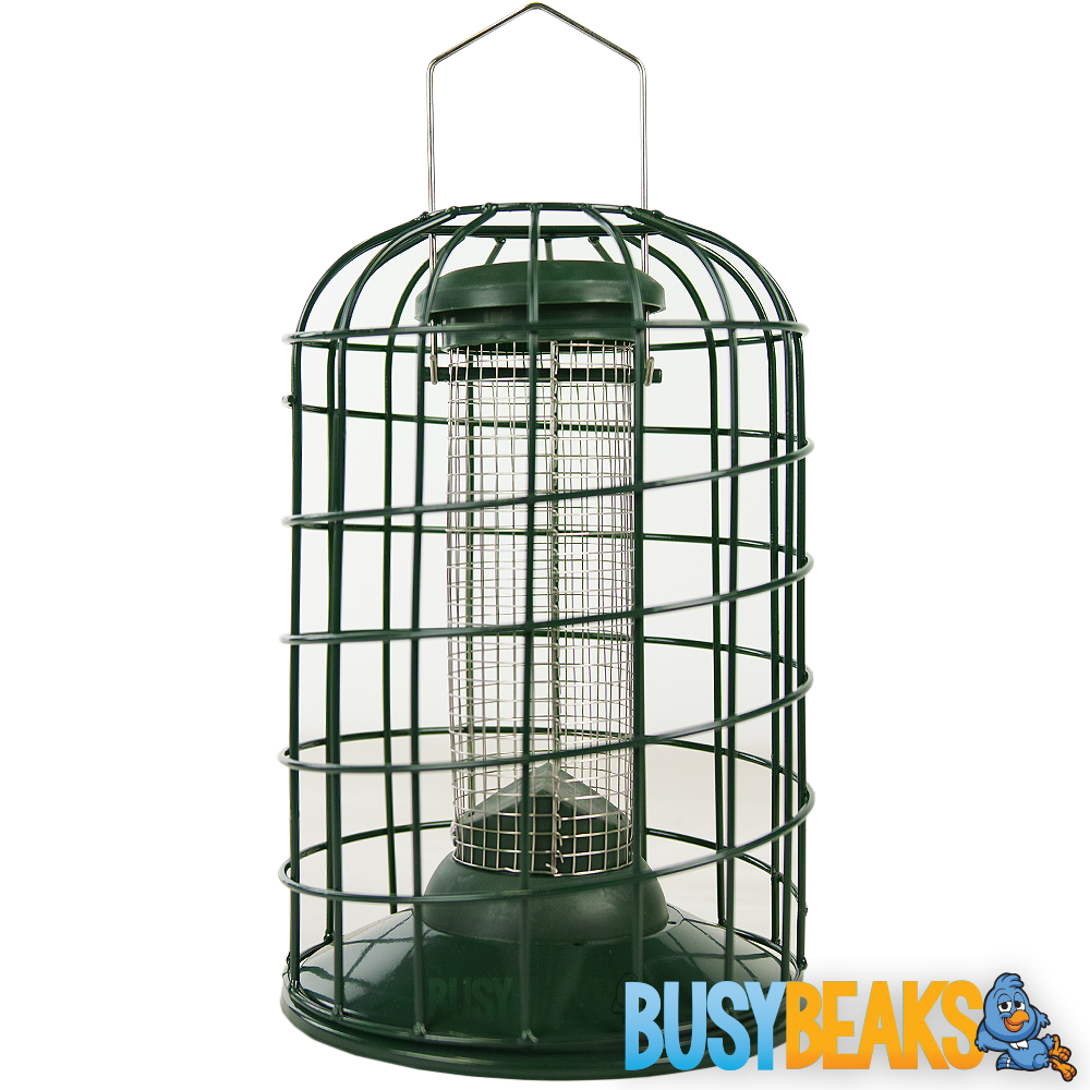 Carbon Peanut Feeder - Squirrel Proof