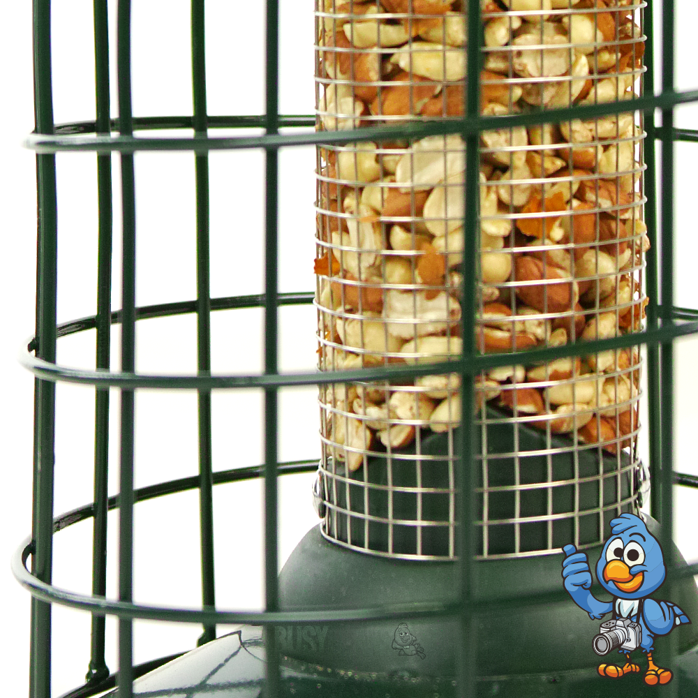 Carbon Peanut Feeder - Squirrel Proof