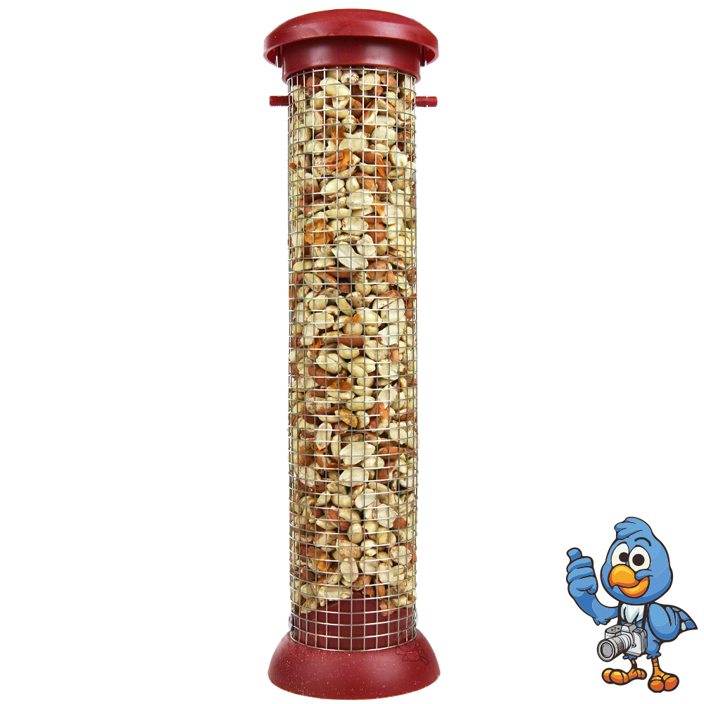 Premium Plastic Peanuts Feeder - Large