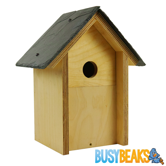 Aviemore Premium Bird Nest Box