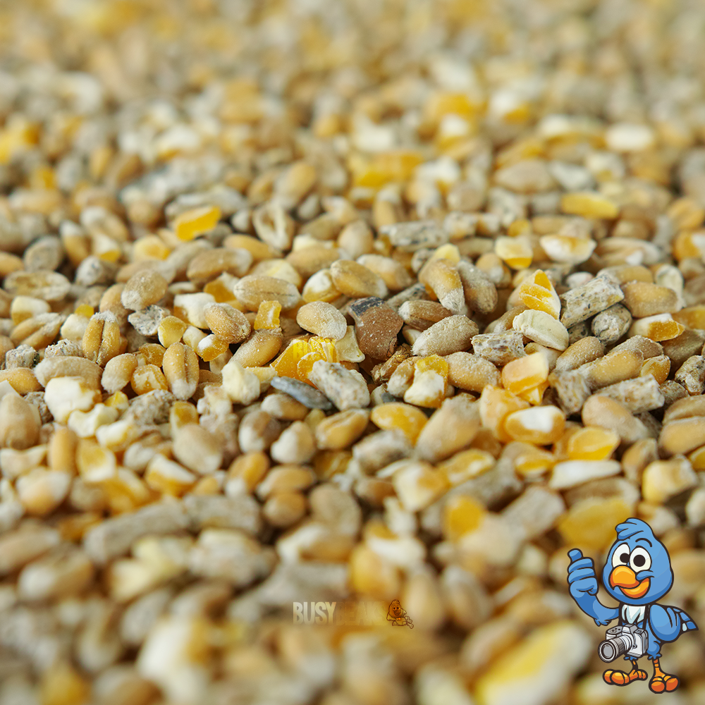 Chicken Corn Extra (Tubs)