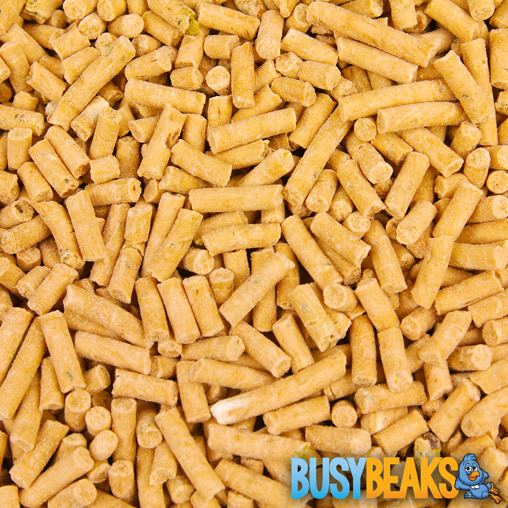 Insect Suet Pellets
