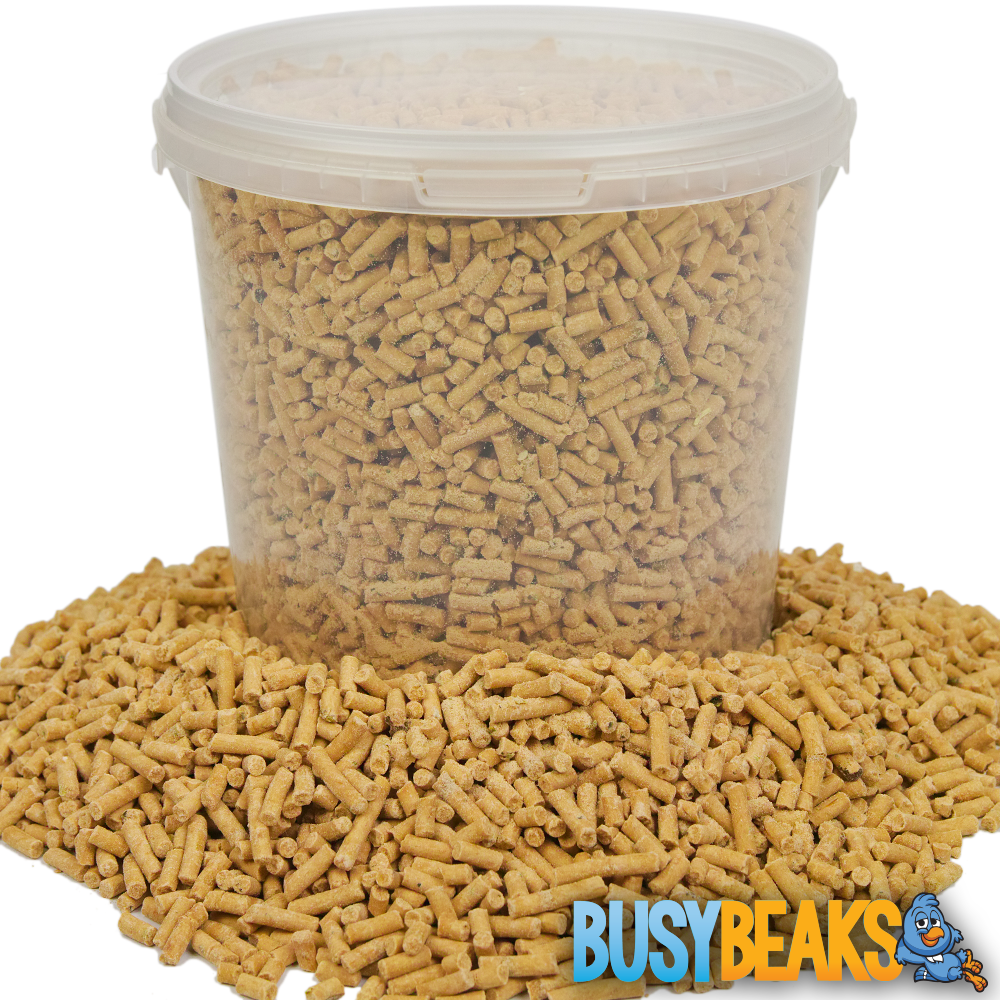Insect Suet Pellets (Tubs)