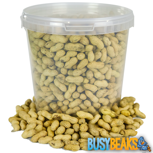Monkey Nuts (Tubs)