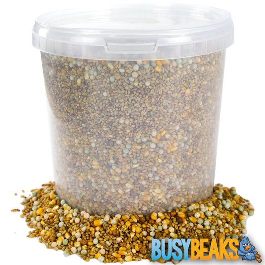 Four Seasons Pigeon Corn (Tubs)