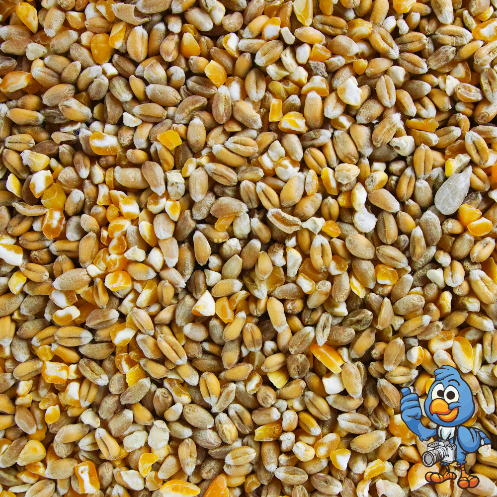 Mixed Poultry Corn