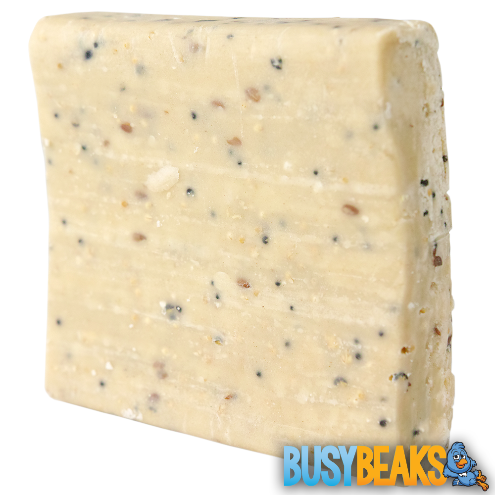 Rectangular Suet Suet Blocks (Seeded) – BusyBeaks