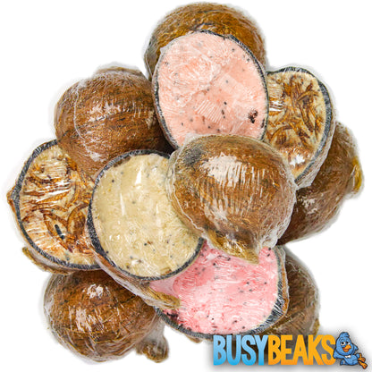 Mixed Suet Filled Coconut Halves | Original, Berry & Mealworm | Garden Bird Food