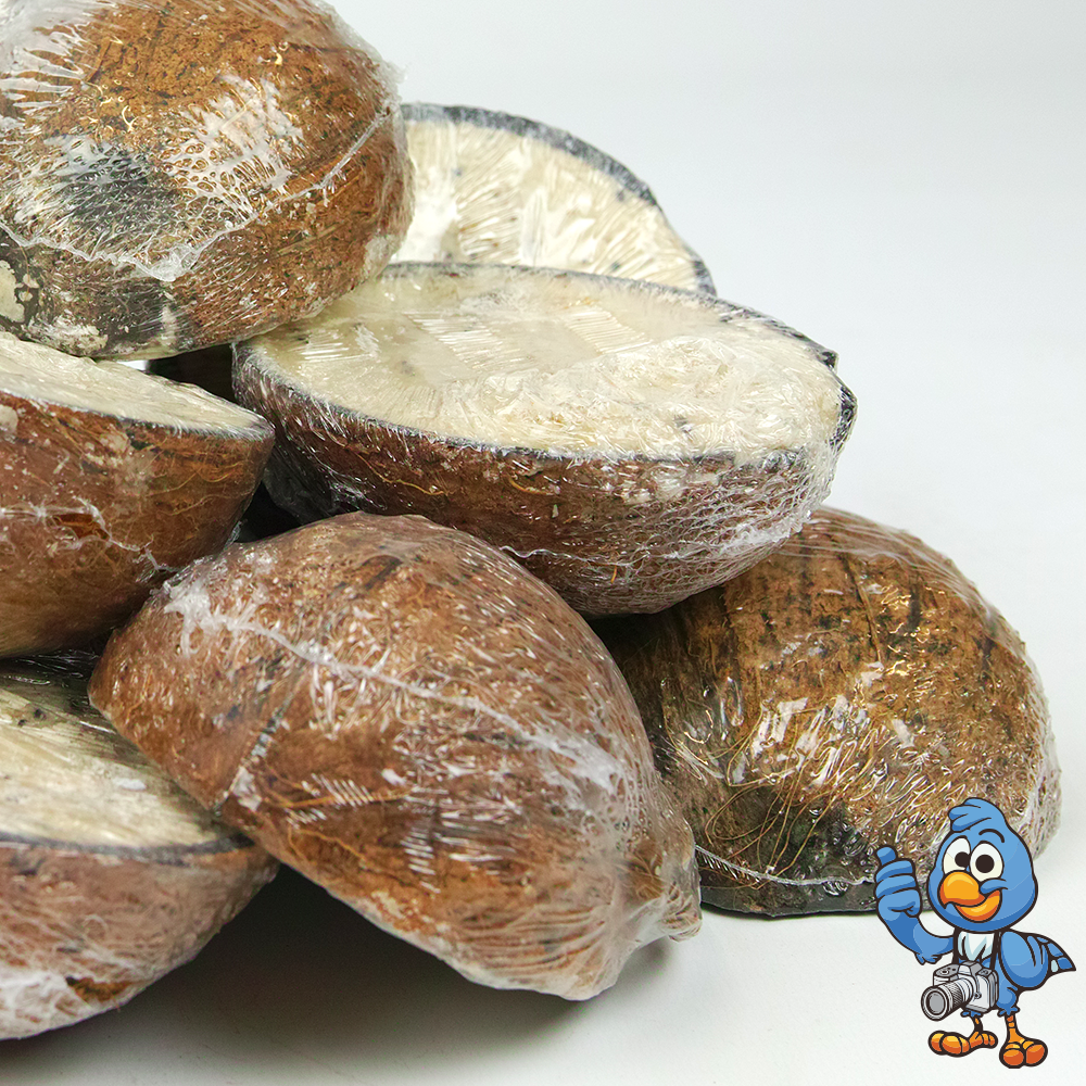Mixed Suet Filled Coconut Halves | Original, Berry & Mealworm | Garden Bird Food