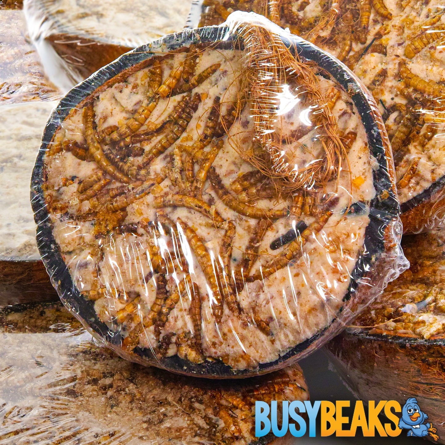 Mealworm Suet Filled Coconut Halves | BusyBeaks