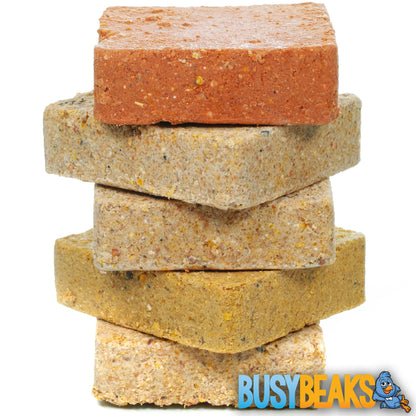 BusyBeaks Mixed Suet Blocks | Premium Garden Bird Food