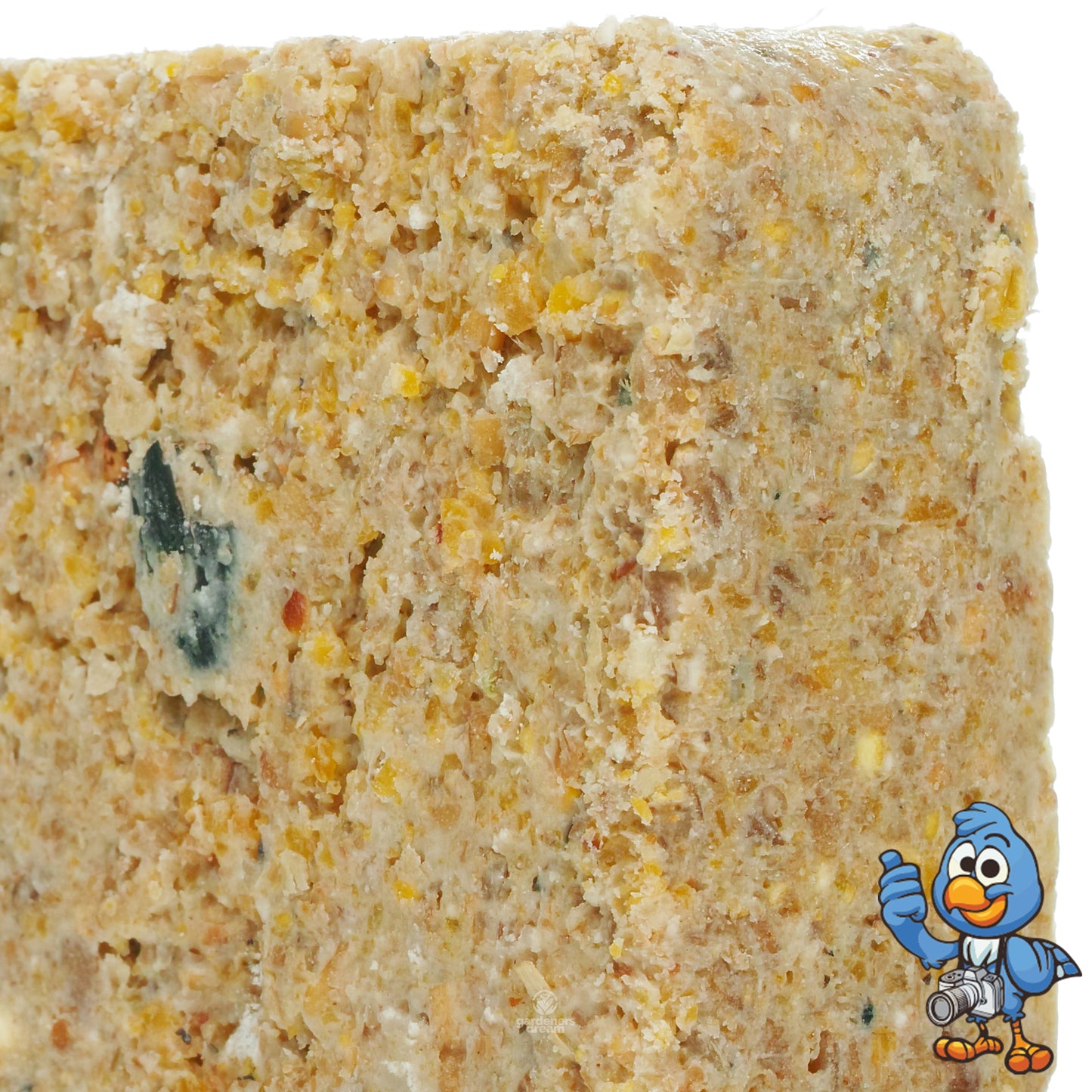 BusyBeaks Mealworm Flavoured Suet Blocks | Premium Bird Food