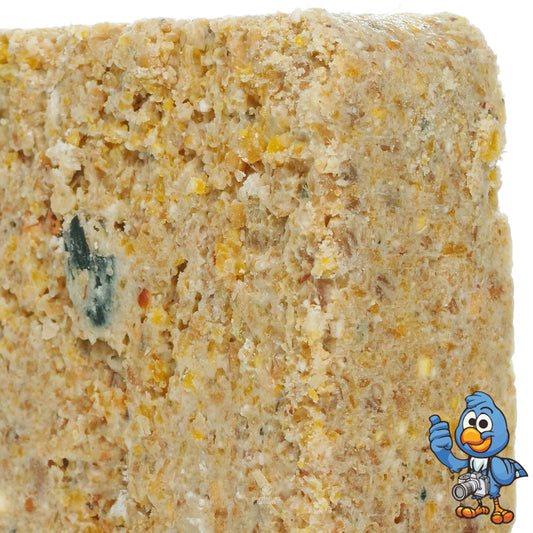 BusyBeaks Mealworm Flavoured Suet Blocks | Premium Bird Food